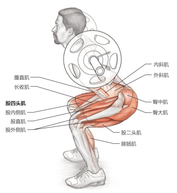 如何制定智能篮球训练计划_0